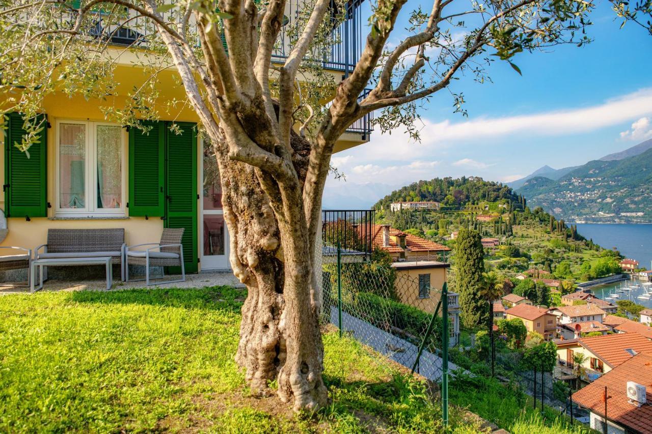 Olive Tree Lake View Apartment Bellagio Zewnętrze zdjęcie