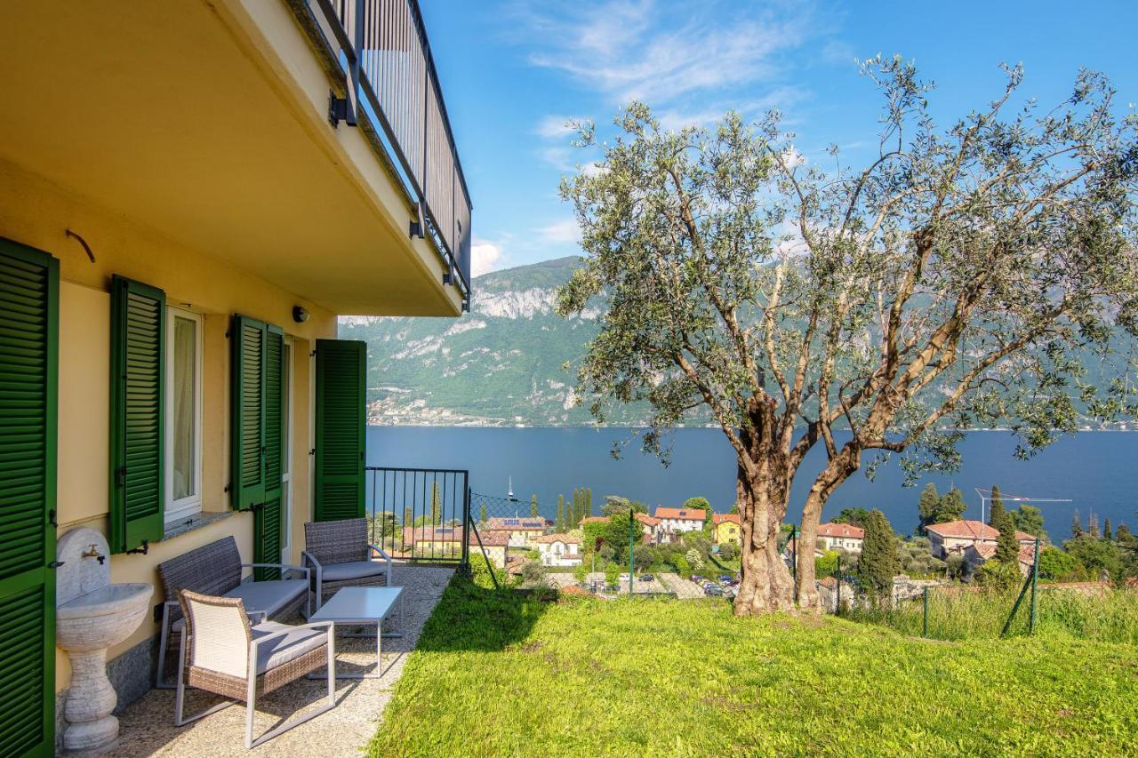Olive Tree Lake View Apartment Bellagio Zewnętrze zdjęcie