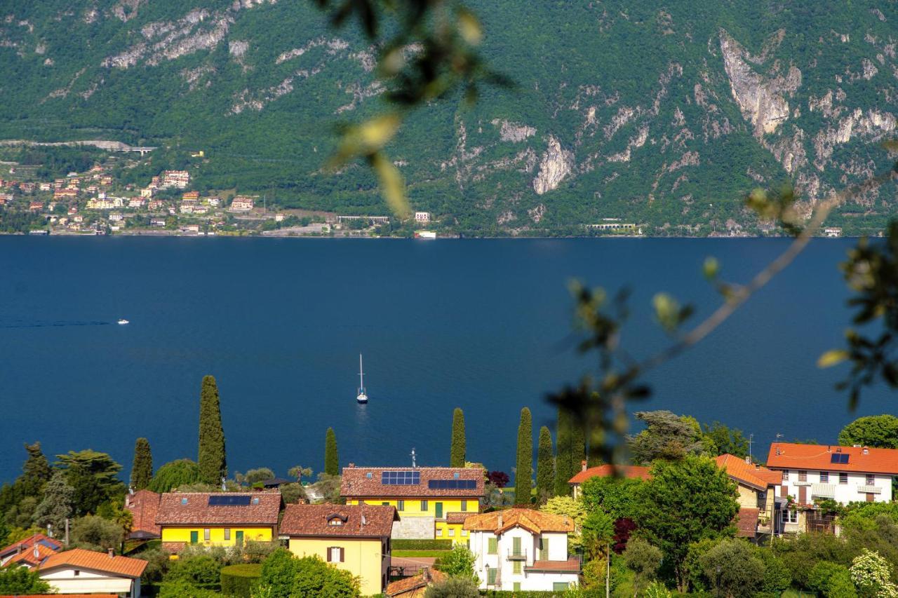 Olive Tree Lake View Apartment Bellagio Zewnętrze zdjęcie
